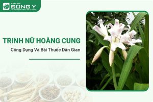 trinh-nu-hoang-cung