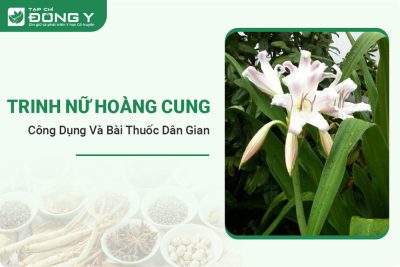trinh-nu-hoang-cung
