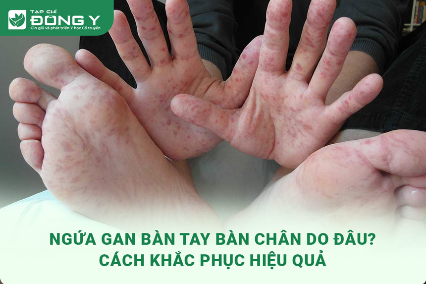 ngua-gan-ban-tay-ban-chan