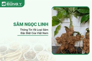 sam-ngoc-linh