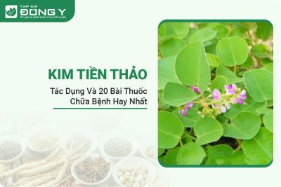 kim-tien-thao
