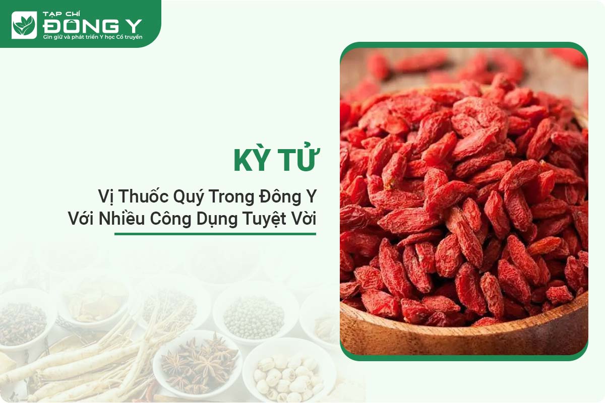 ky-tu