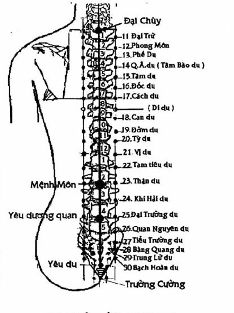 Khi massage điều trị thoát vị đĩa đệm cần chú ý các huyệt đạo quan trọng 