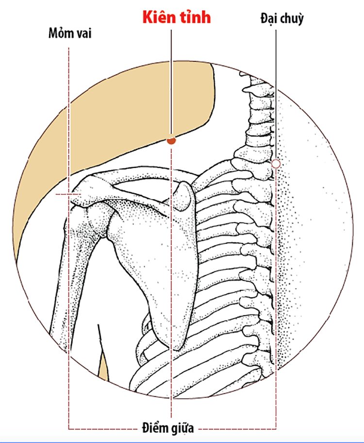 Vị trí của huyệt Kiên tỉnh