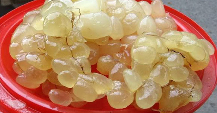 Các bộ phận của trăn đều có khả năng khiến phái mạnh bất lực