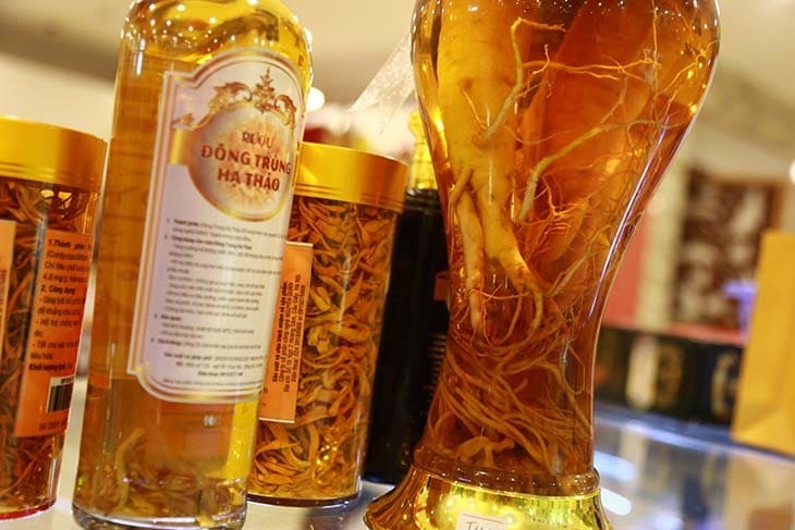 Nên uống rượu đông trùng hạ thảo vào buổi sáng theo đúng liều lượng được khuyến cáo