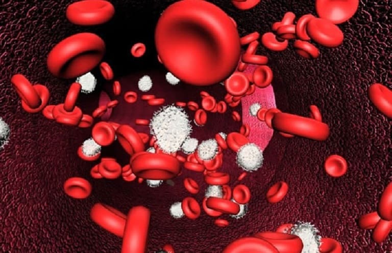 Colchicine có thể ảnh hưởng xấu đến xương và máu Colchicine có thể ảnh hưởng xấu đến xương và máu