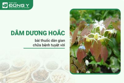 img-hinh-anh-dam-duong-hoac