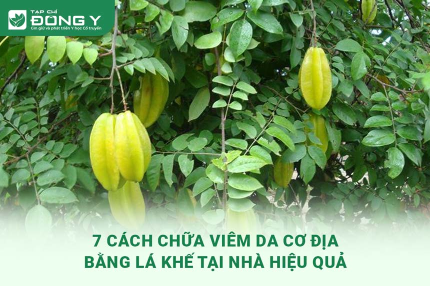 cach-chua-viem-da-co-dia-bang-la-khe