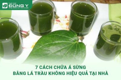 chua-a-sung-bang-la-trau-khong