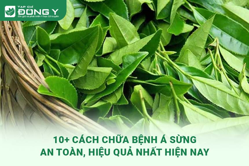 cach-chua-benh-a-sung