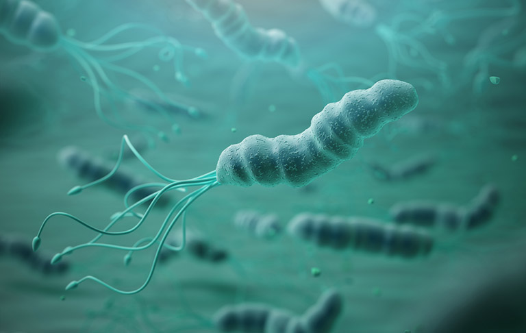 Gastimunhp mua ở đâu Gastimunhp mua ở đâu