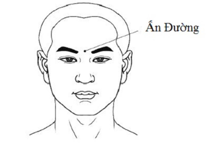 Tác động huyệt Ấn Đường giúp giảm đau đầu, ngứa mũi, chảy nước mũi