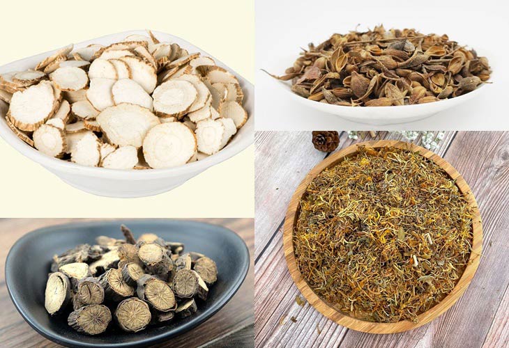 Dược liệu hỗ trợ điều trị viêm tai giữa ứ dịch ở người lớn là một lựa chọn an toàn, hiệu quả