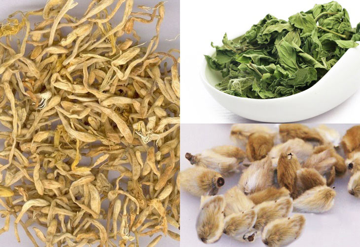 Các loại dược liệu điều trị cho hiệu quả an toàn