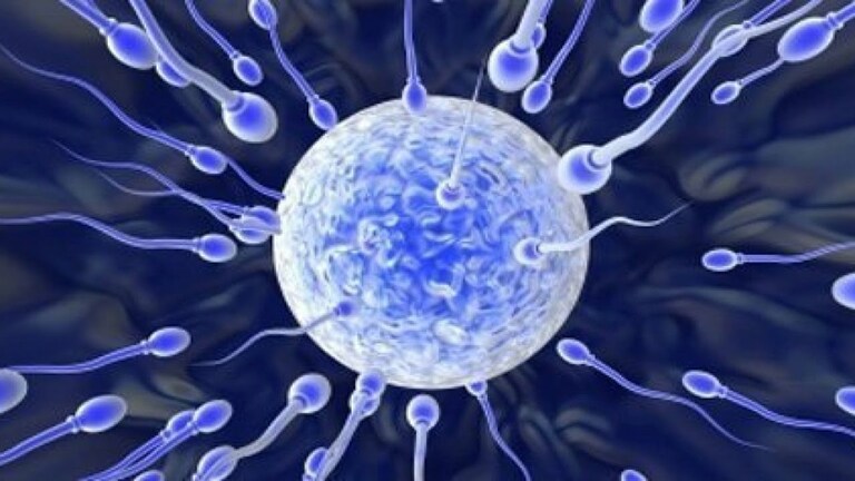 đánh giá thuốc oligokare