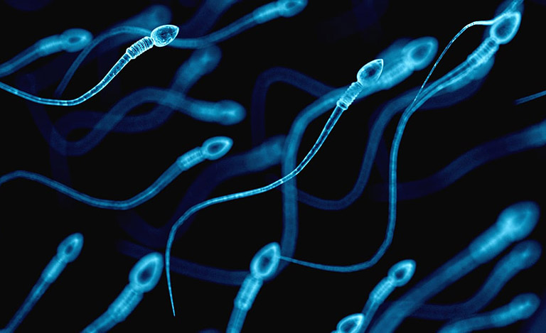 thuốc spermq mua ở đâu thuốc spermq mua ở đâu