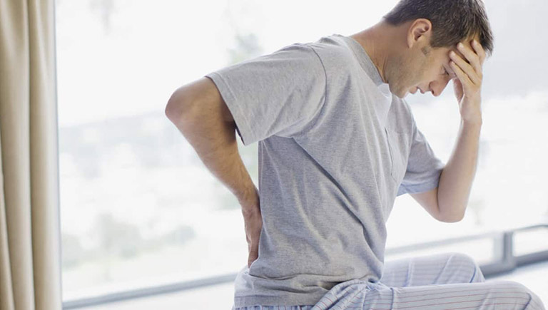 Viên Tiểu Đêm Dạ Minh Châu Viên Tiểu Đêm Dạ Minh Châu