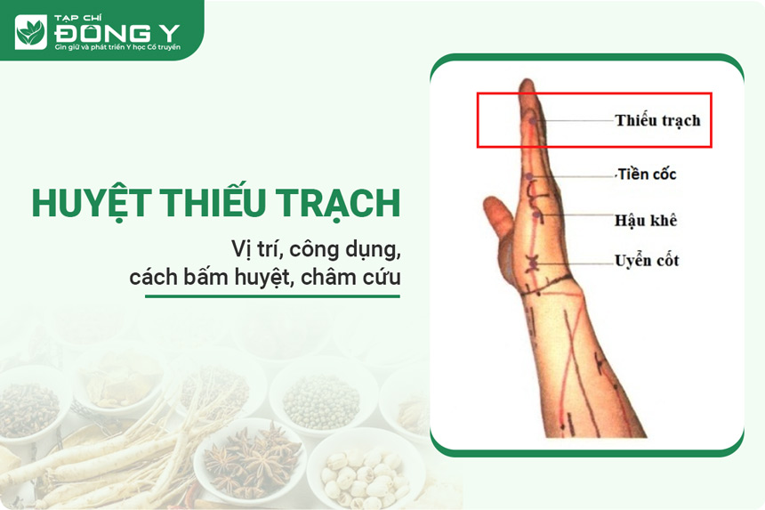 huyệt Thiếu Trạch