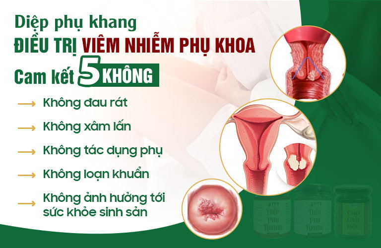Cam kết 5 không của bài thuốc Diệp Phụ Khang