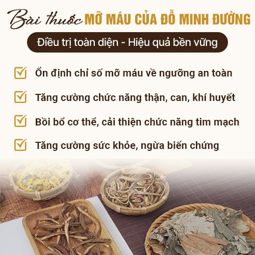 Công dụng bài thuốc mỡ máu của Đỗ Minh Đường